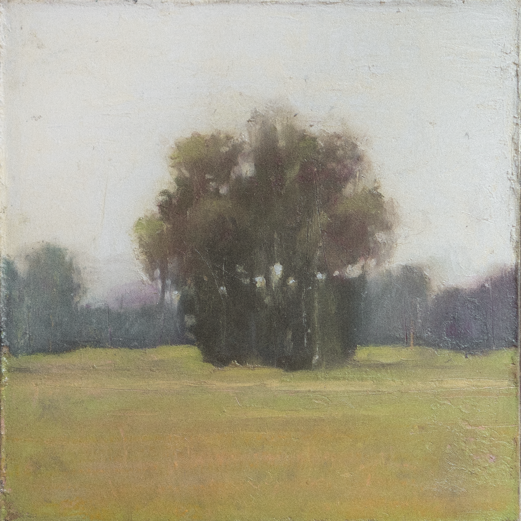 The Grove