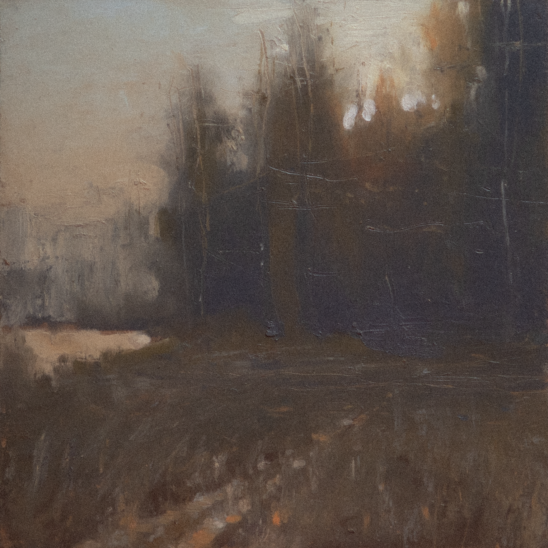 DSC00558.png
