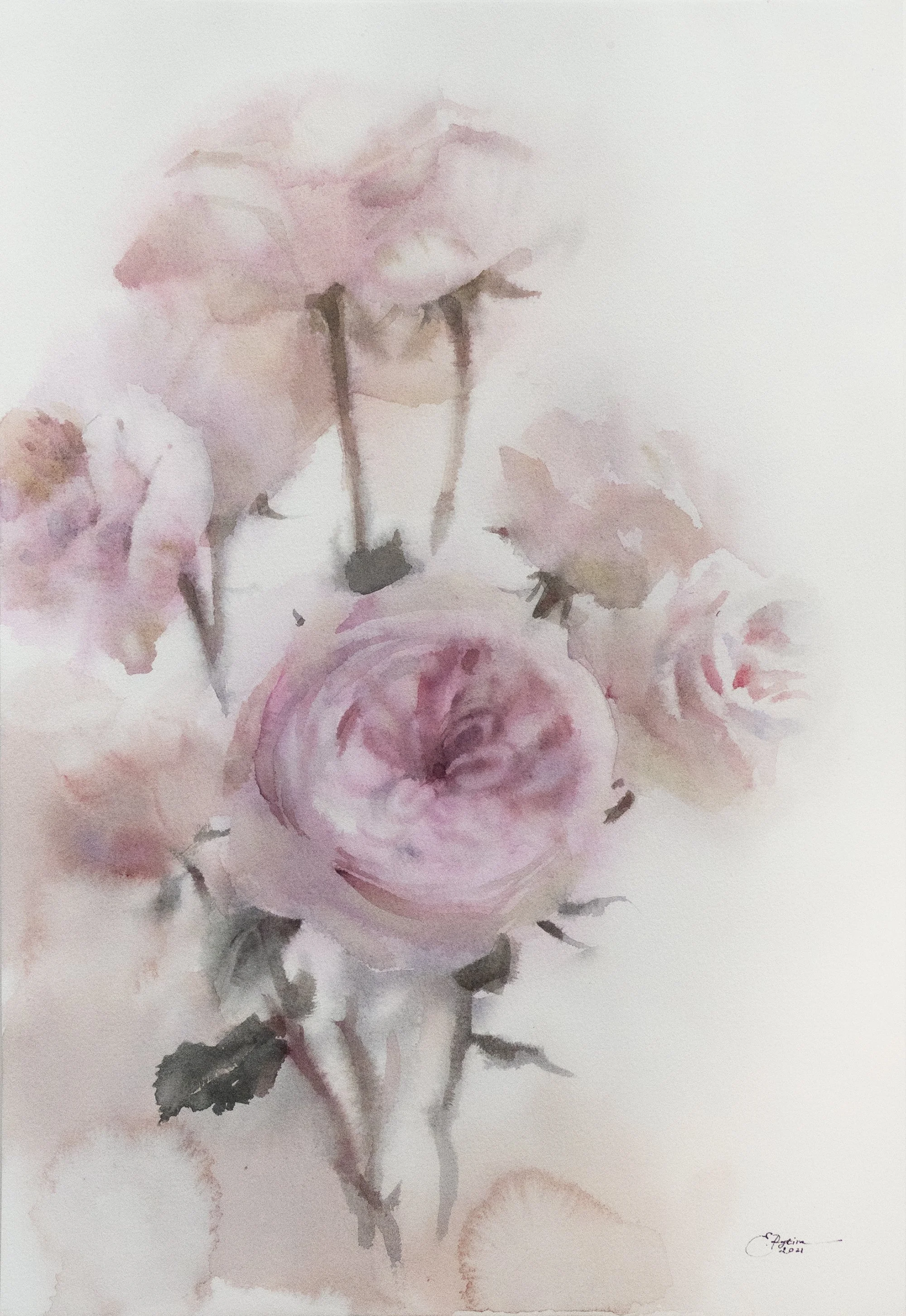 Garden Roses
