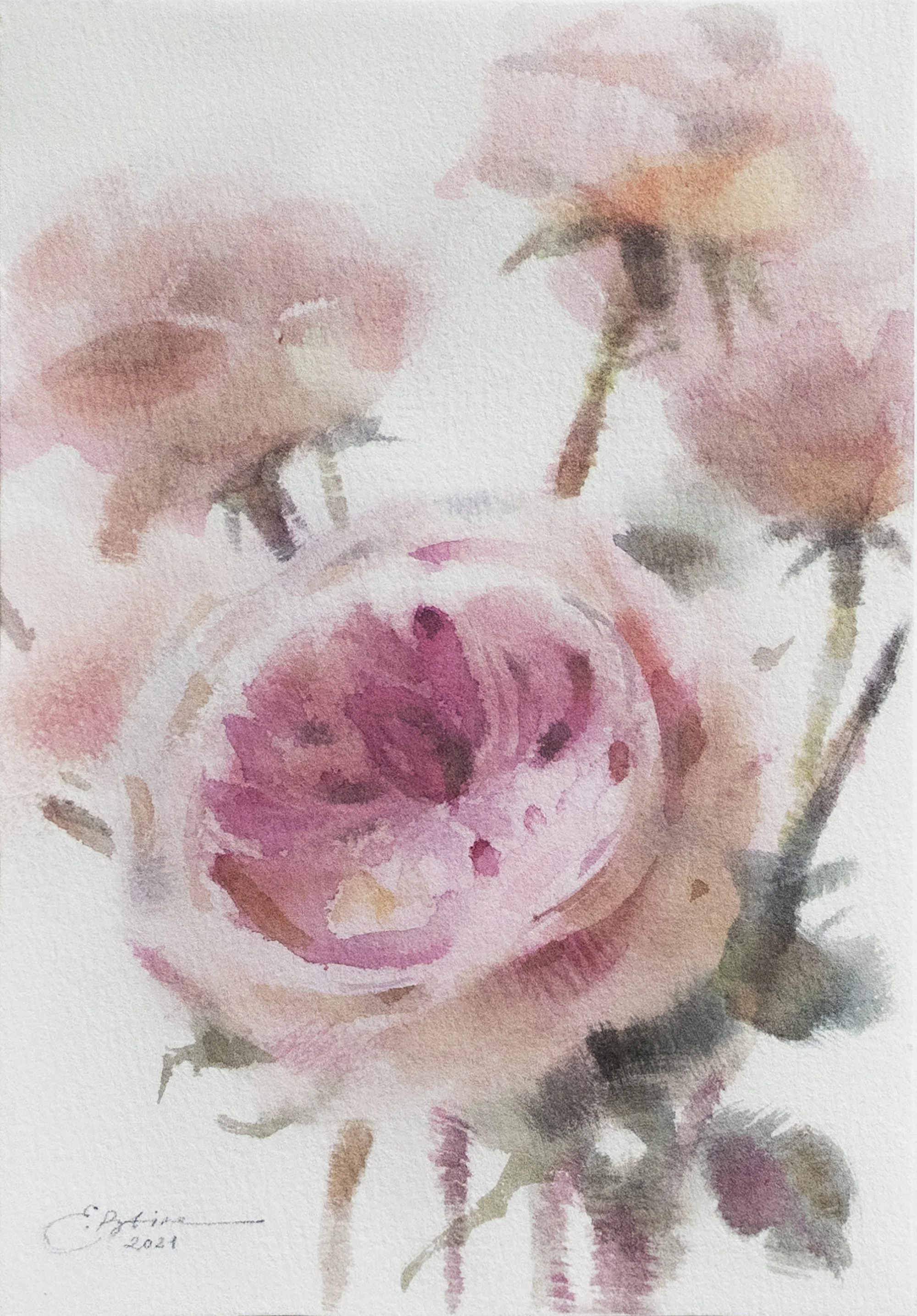 Rose I