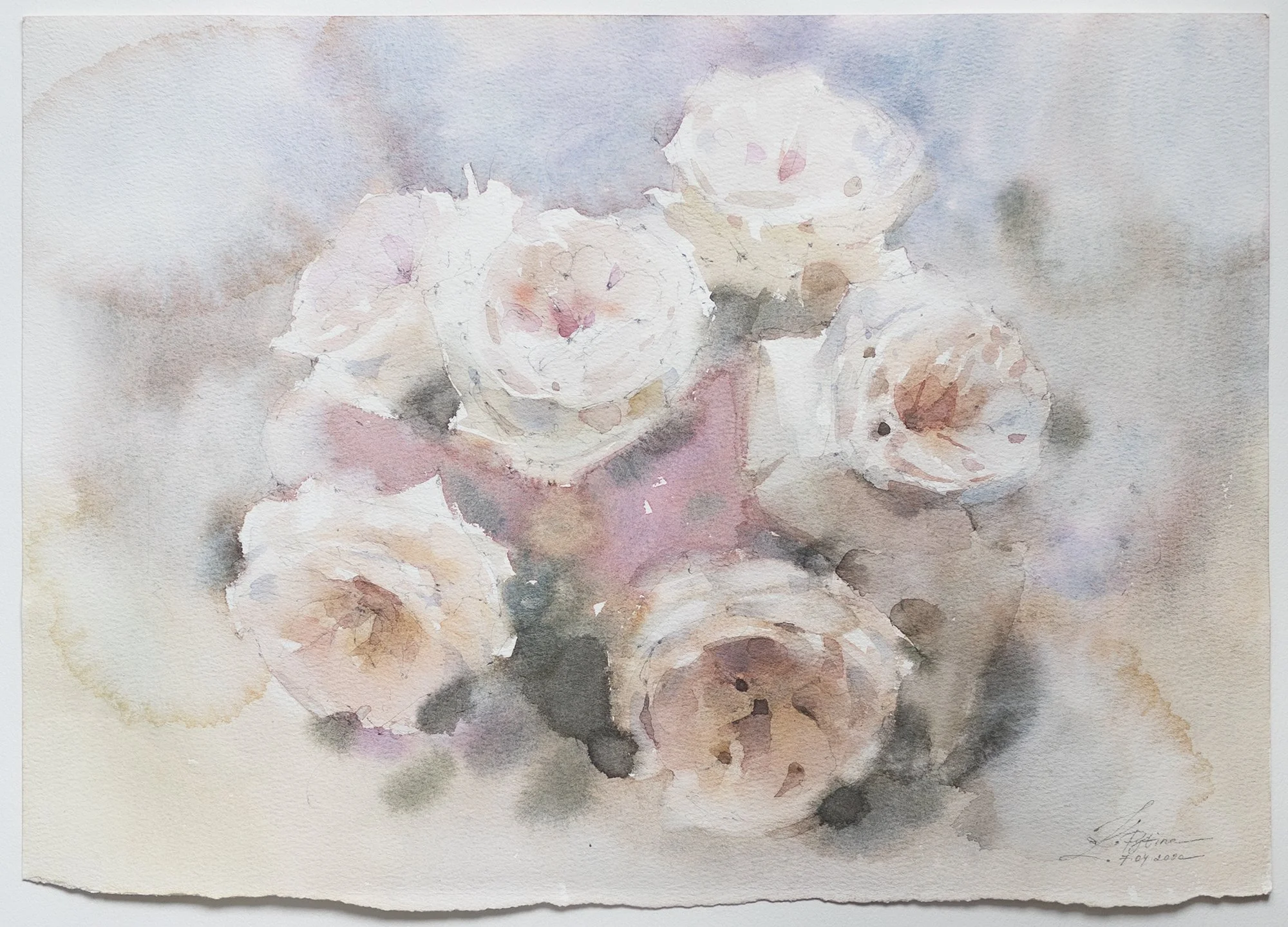 Roses