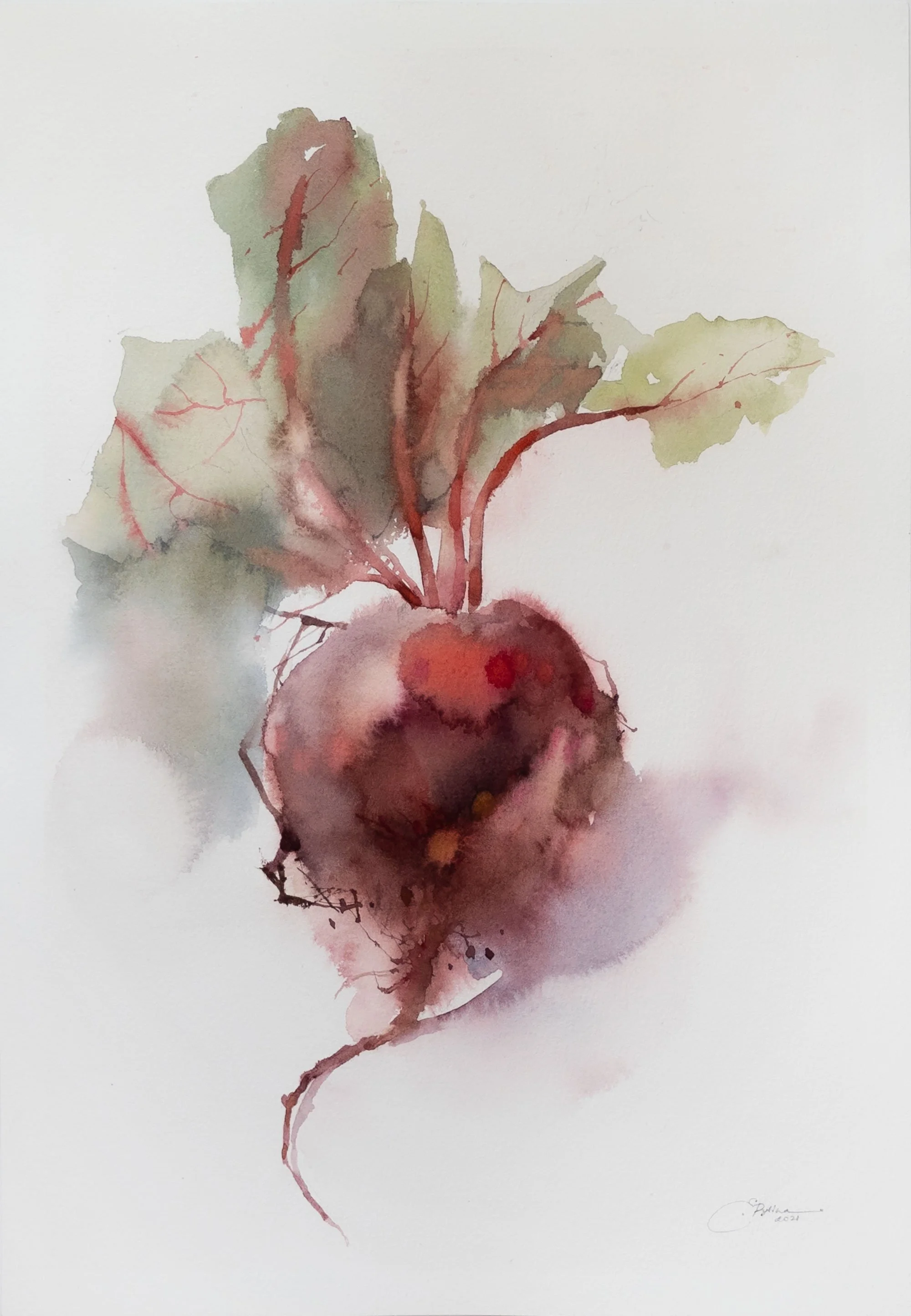 Beetroot 