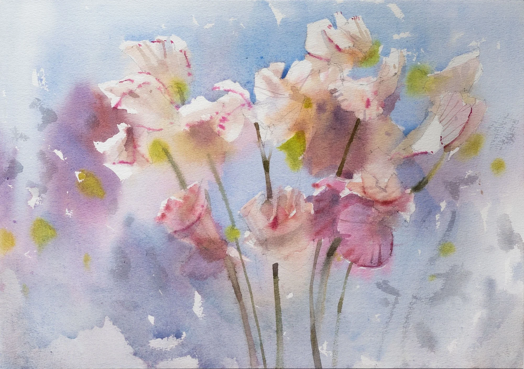 Sweet Pea Flowers