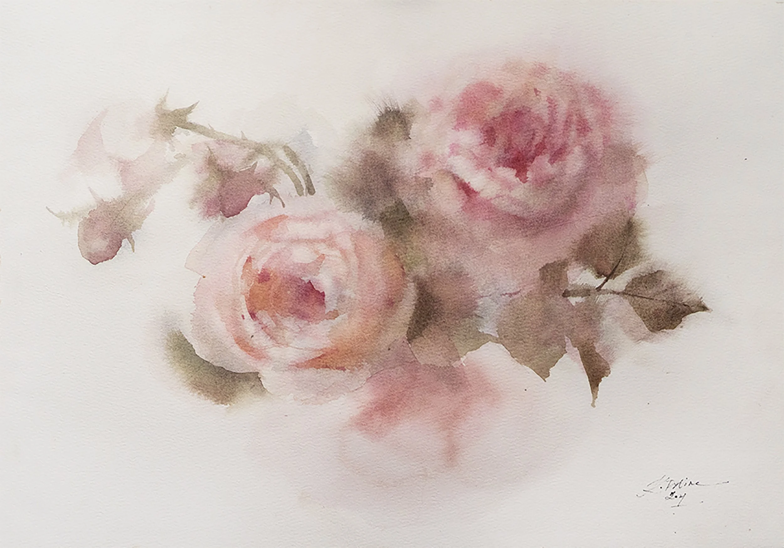 Two Roses
