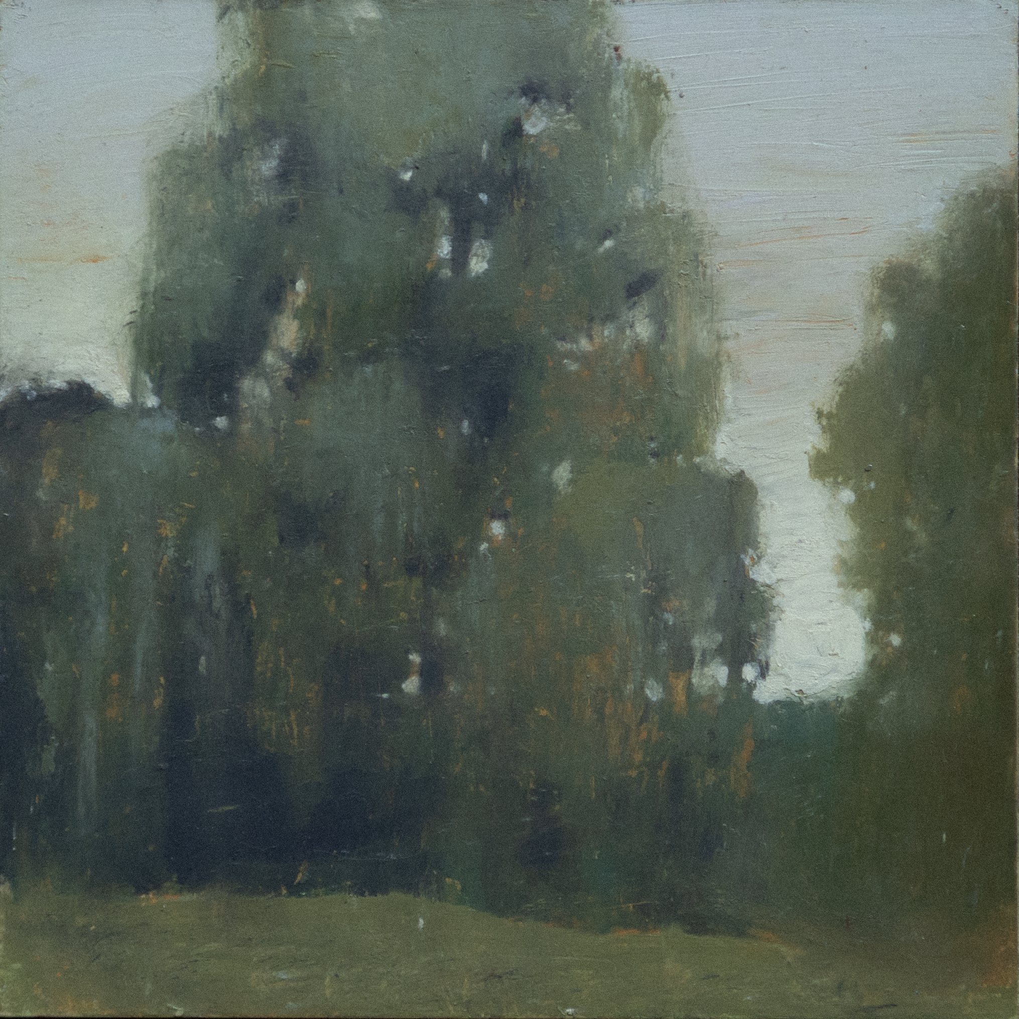 DSC00400.png