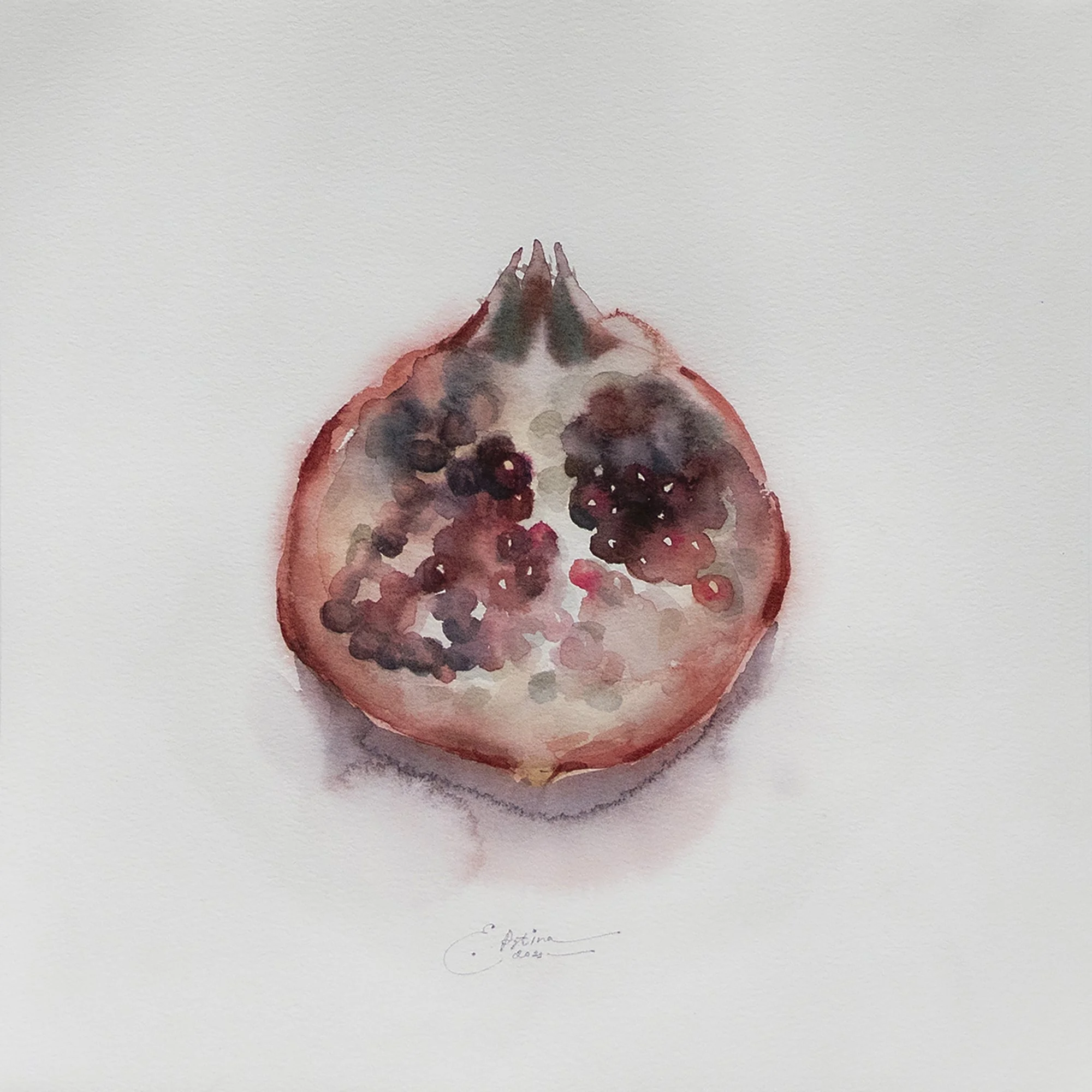 Pomegranate