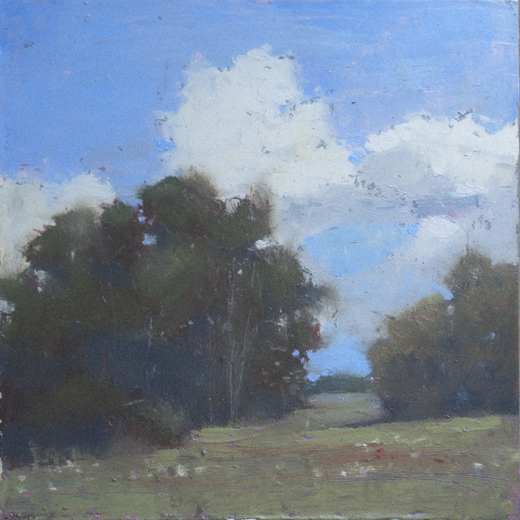 Beneath the Slow Clouds — Available