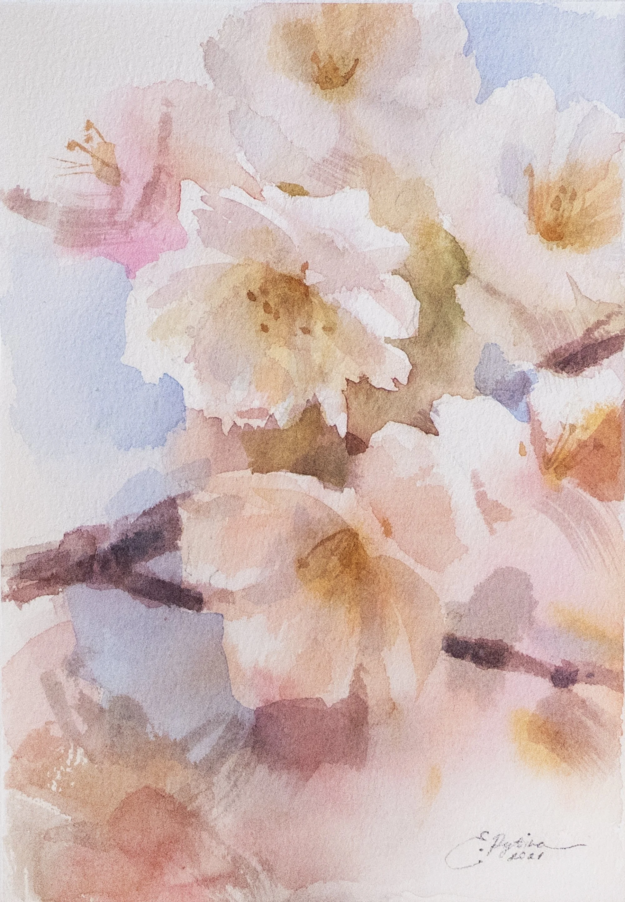 Blossom