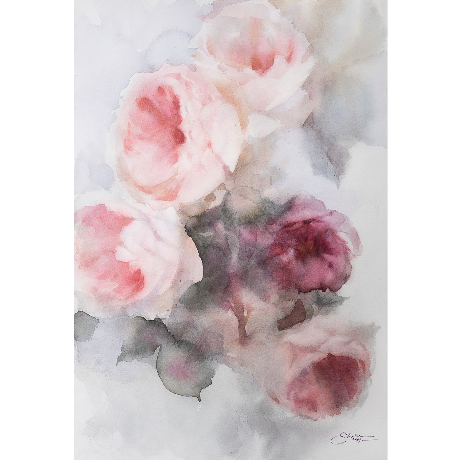 Roses