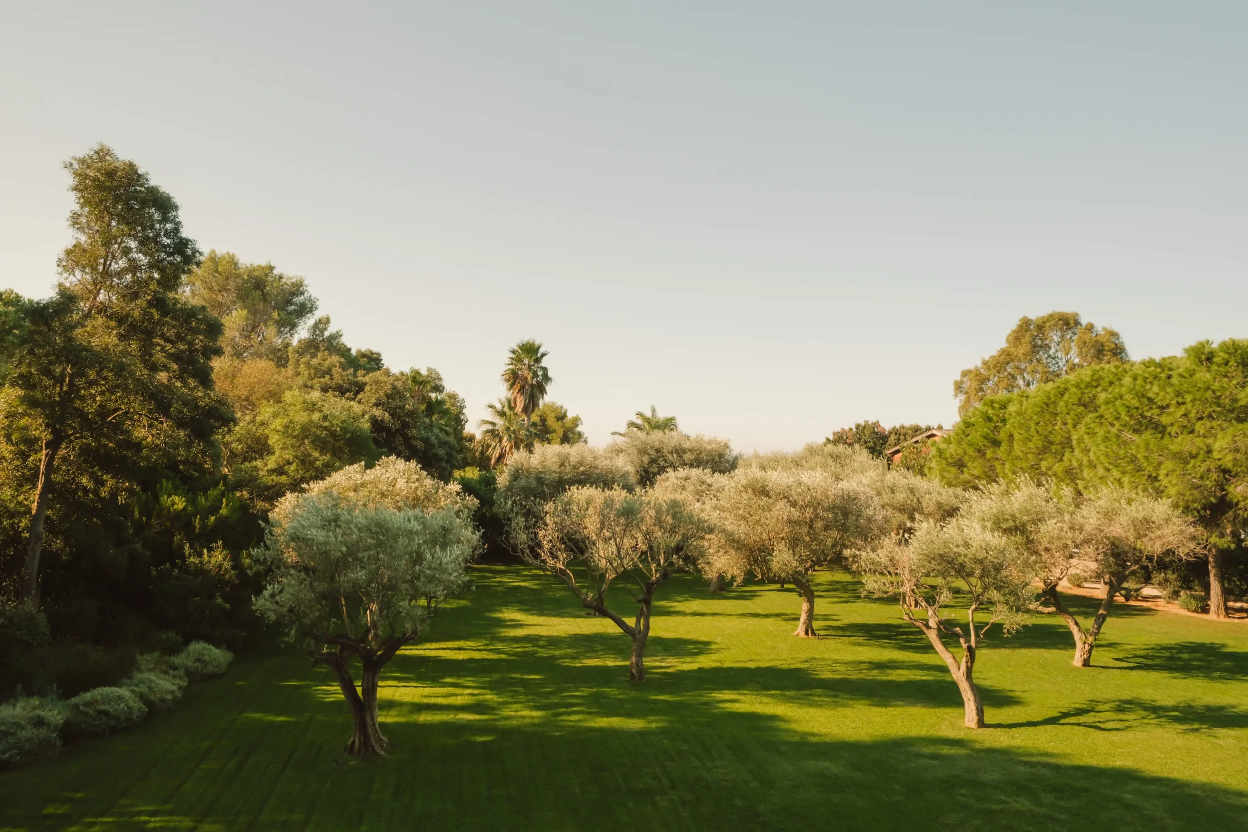 Villa Les Oliviers St Tropez8.webp