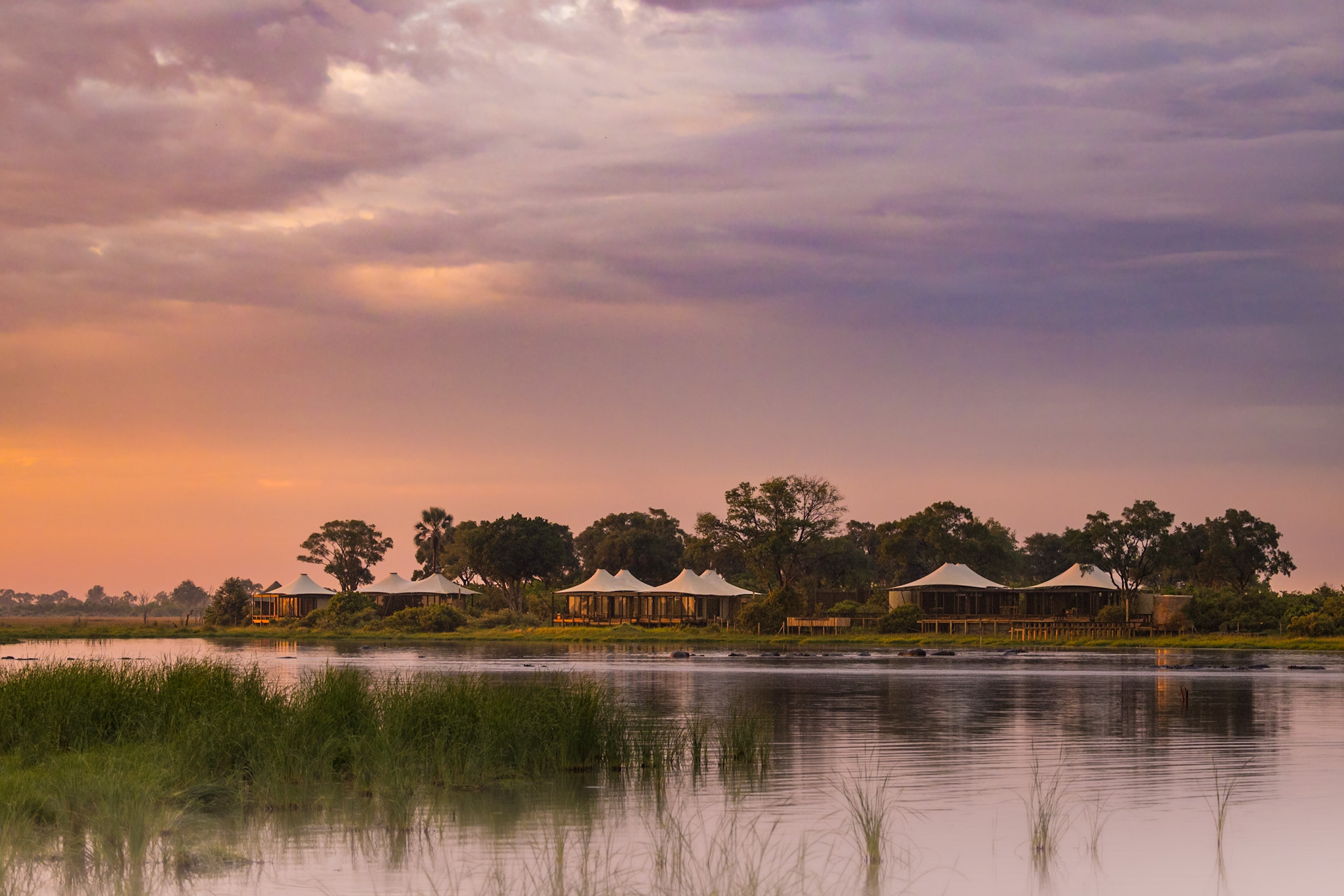 Daunara Safari Camp Botswana2.webp