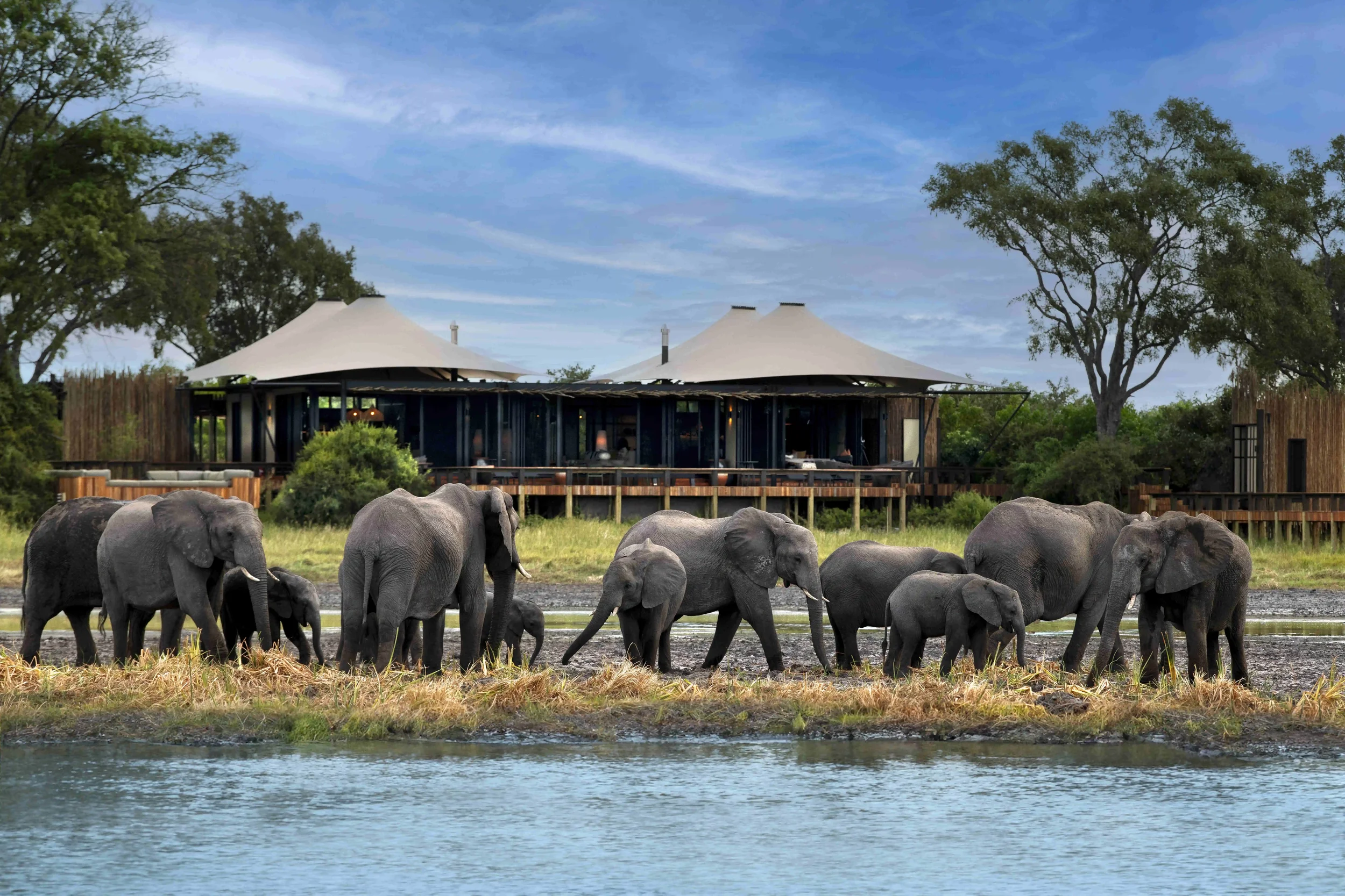 Daunara Safari Camp Botswana4.webp