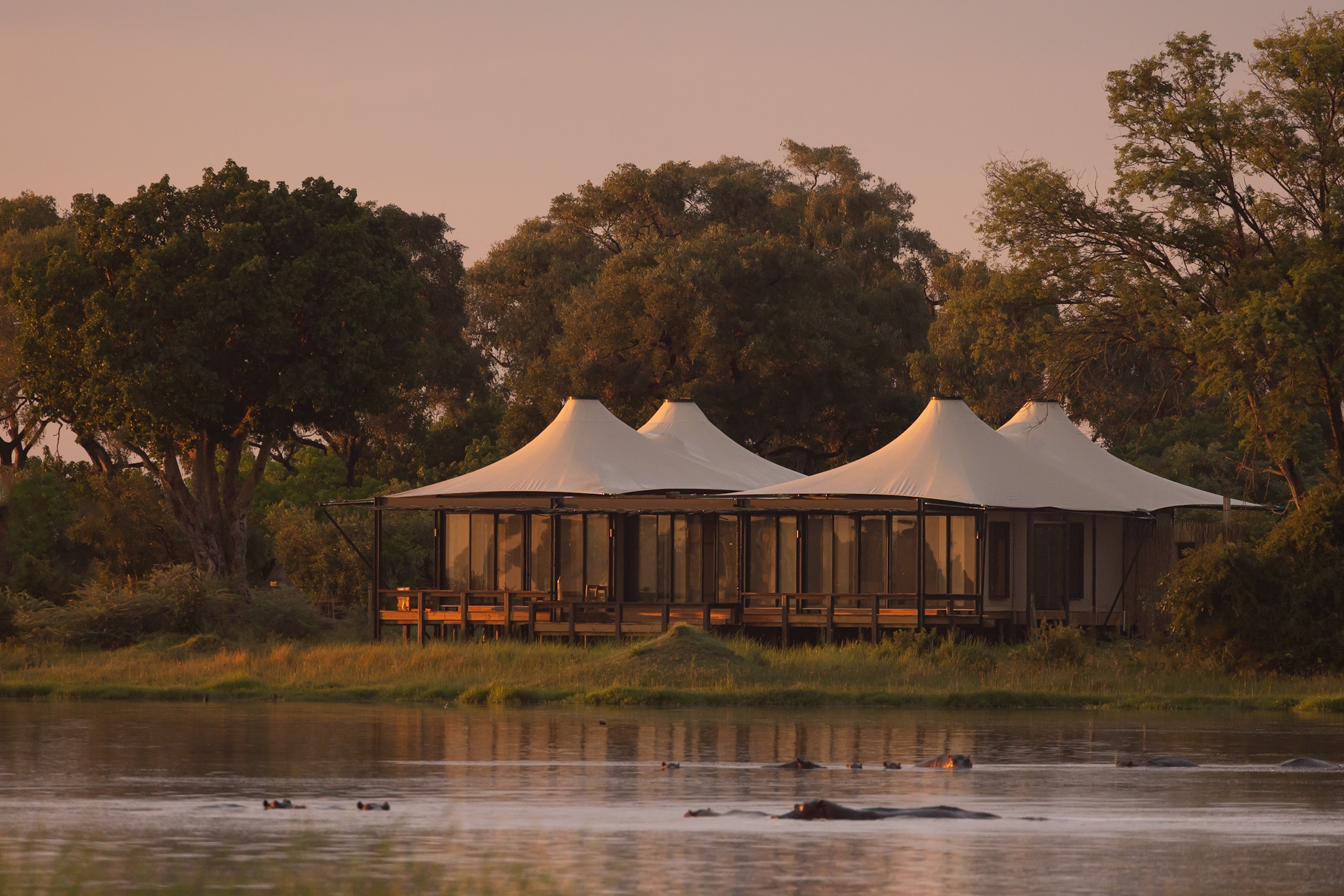 Daunara Safari Camp Botswana3.webp