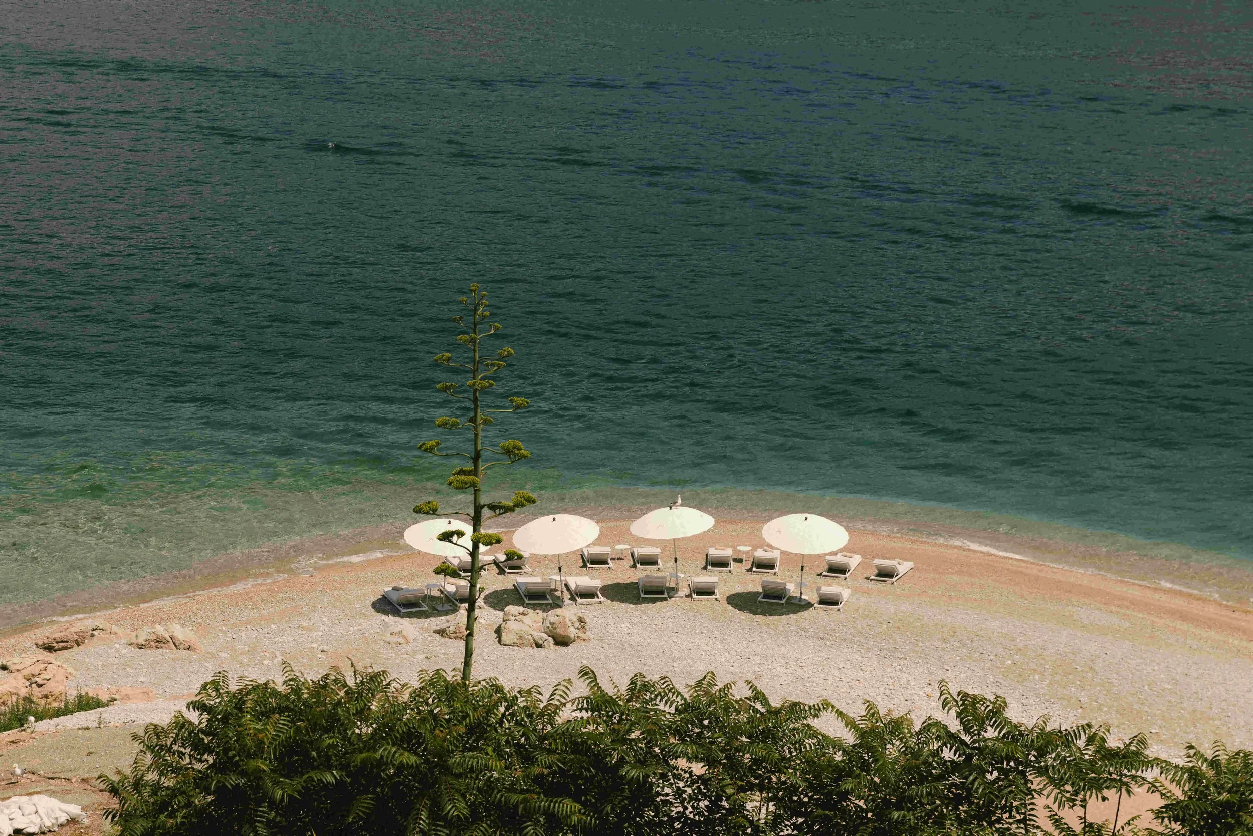 Mamula Island Montenegro3.webp