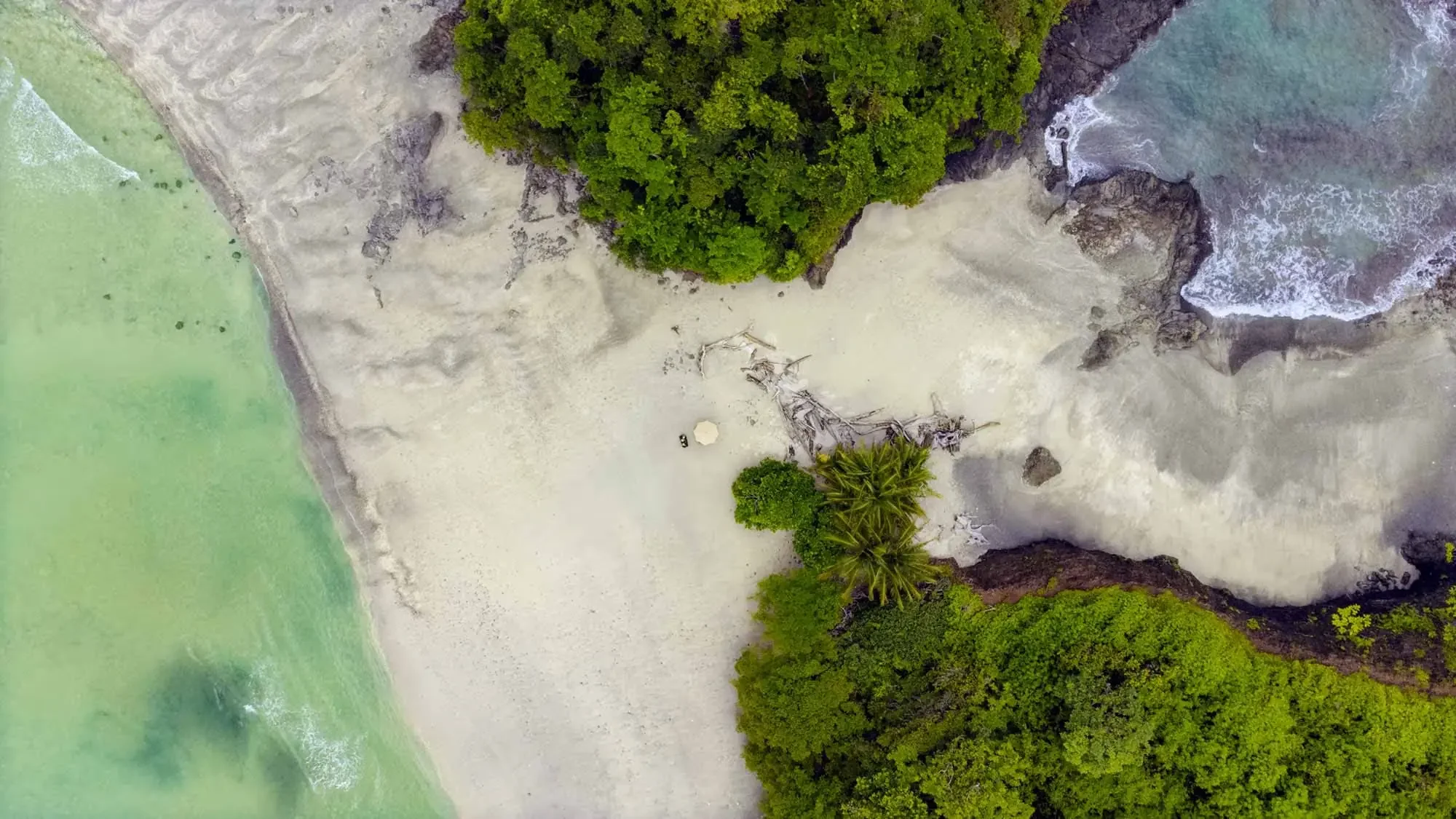 Islas Secas Panama5.webp