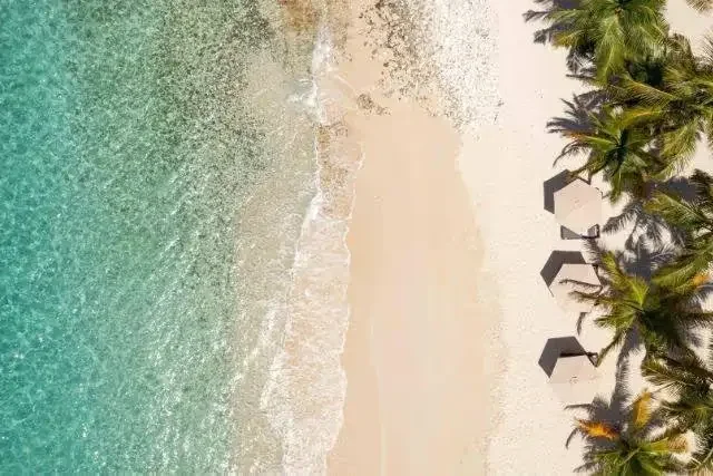 The Point Estate British Virgin Islands4.webp