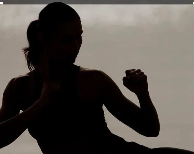 Silhouette of a woman practicing boxing or martial arts with fists up, against a cloudy sky background.