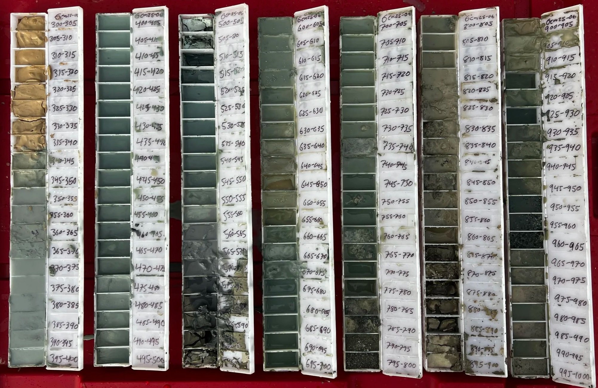 Clay-hosted Lithium Chip tray photo