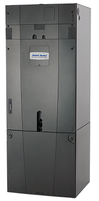 ForeFront™ Gold 5TAM5/GAM5