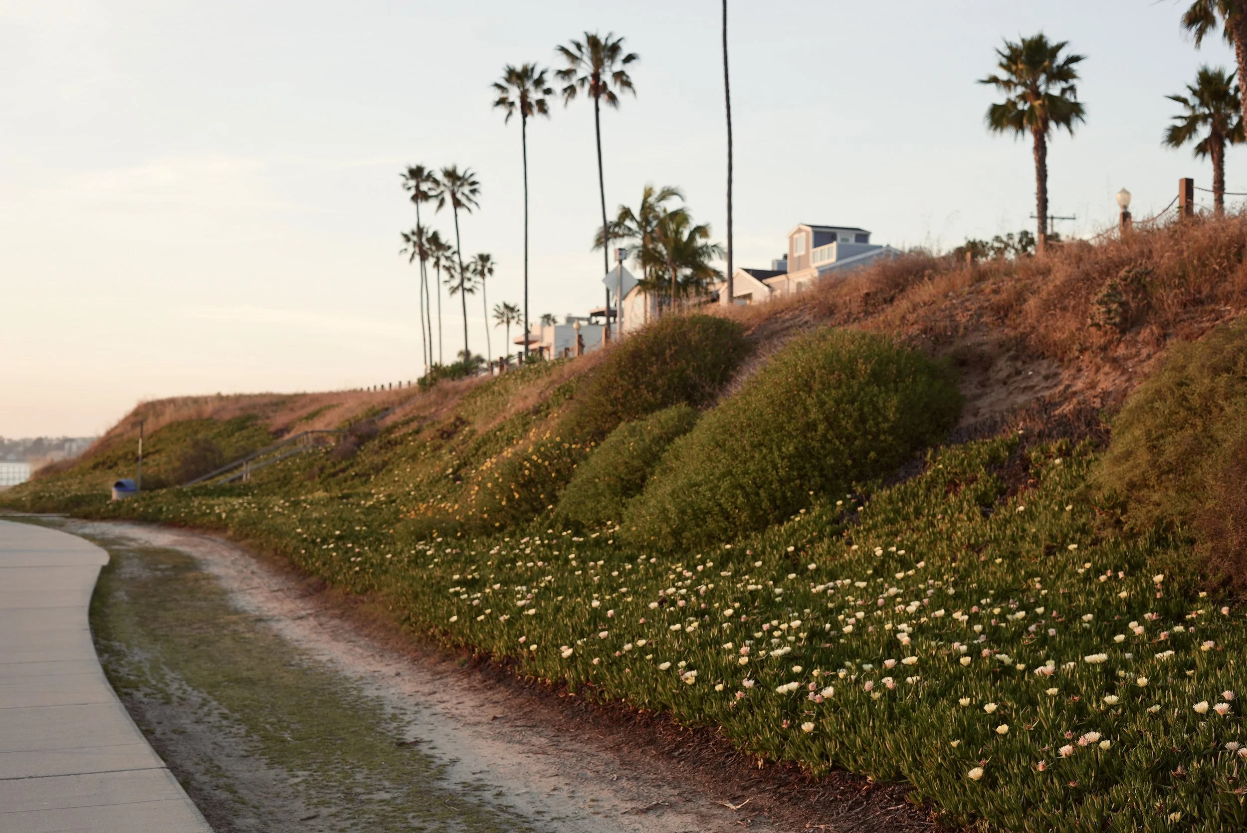 Life coaching session taking place on a bay walking path
