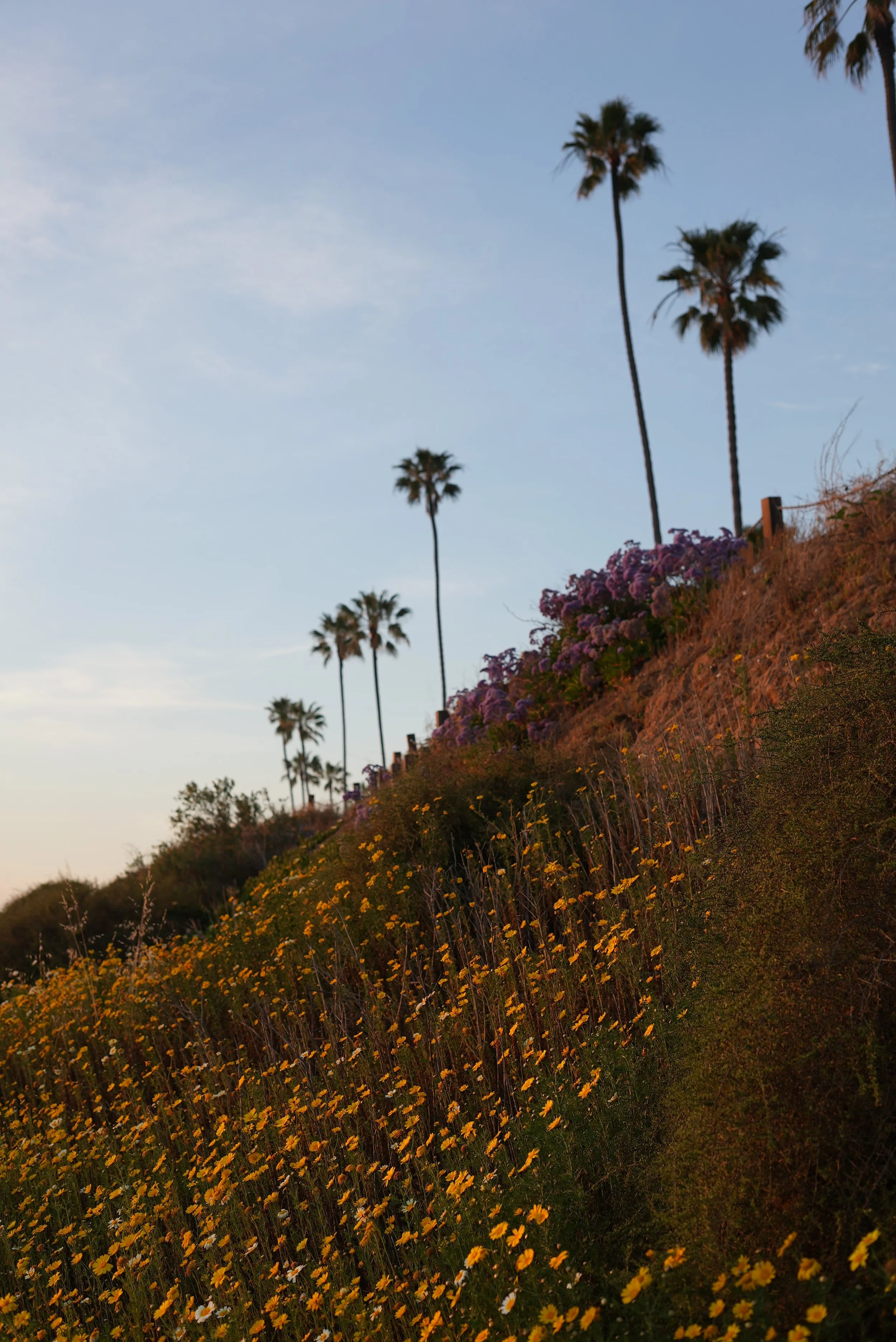Walking coach session near the San Diego bay area