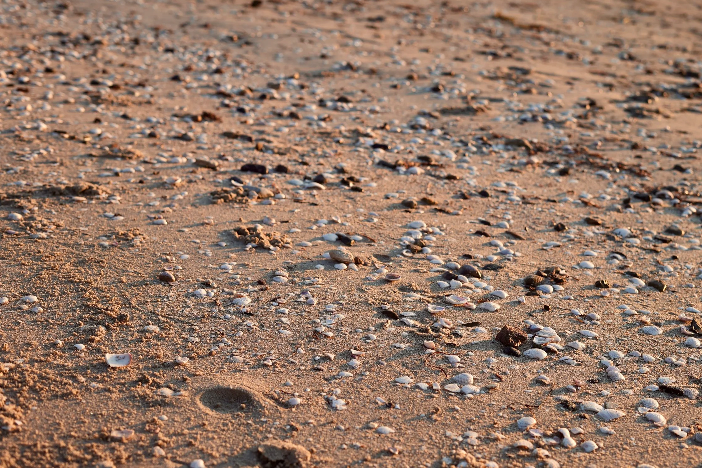 Walking coach in a natural outdoor setting in San Diego