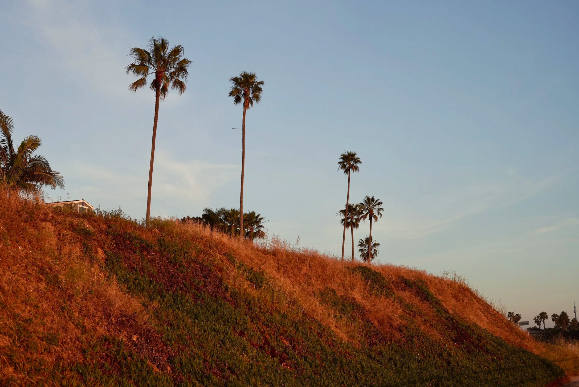 Reflective coaching session during a walk outdoors