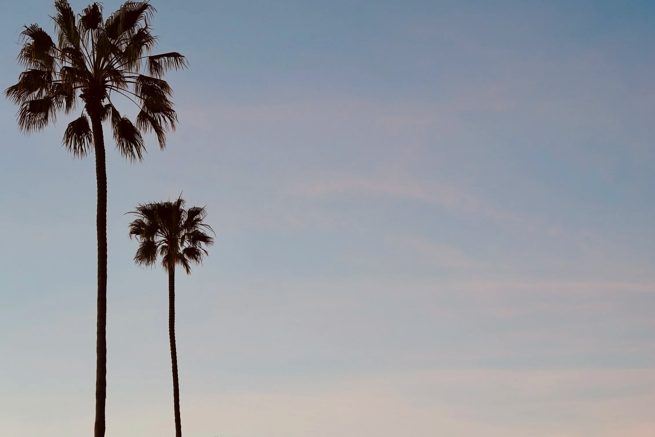 Quiet moment during a walking coaching session by the coast