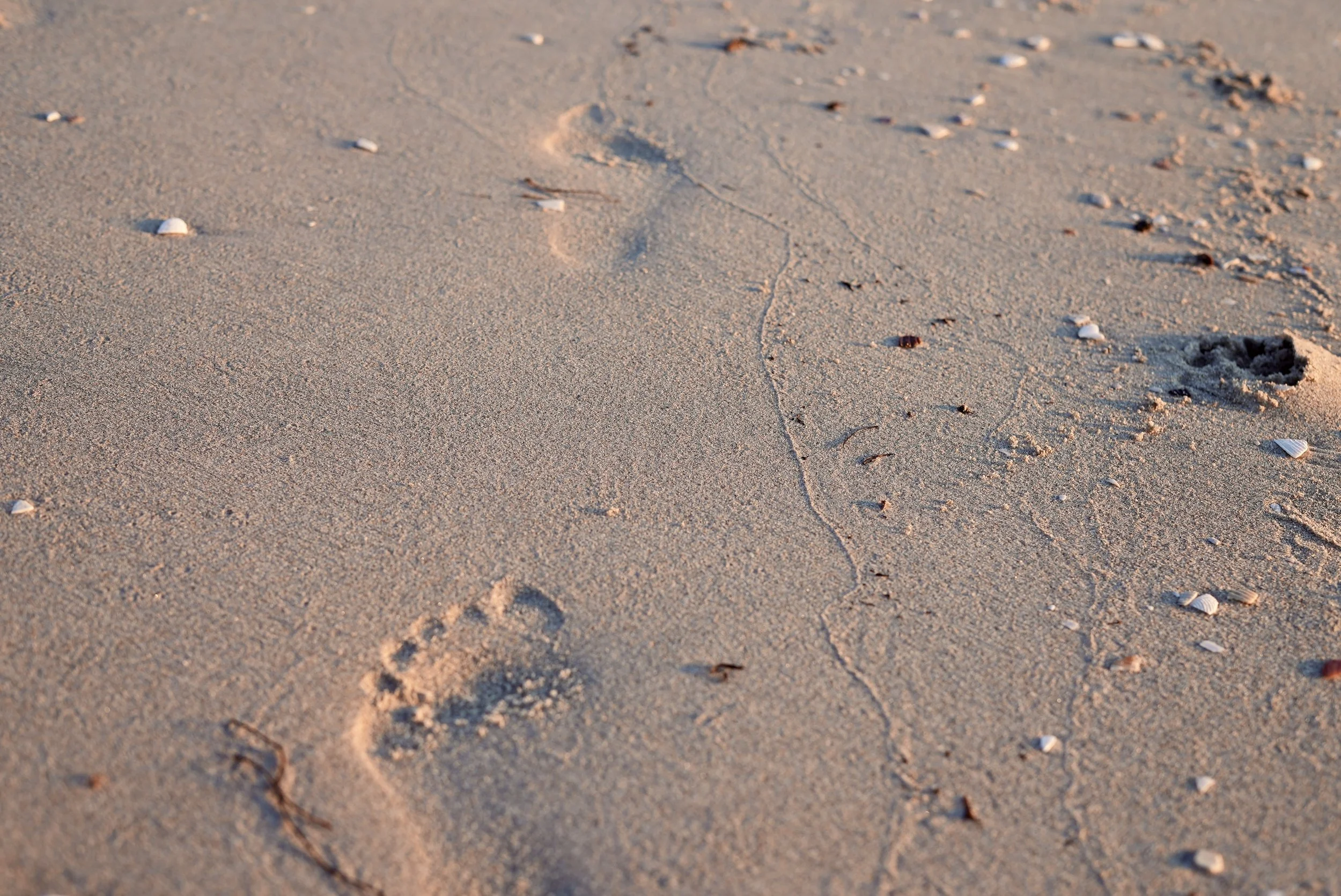 Life coach walking with client on Crown Point path in San Diego