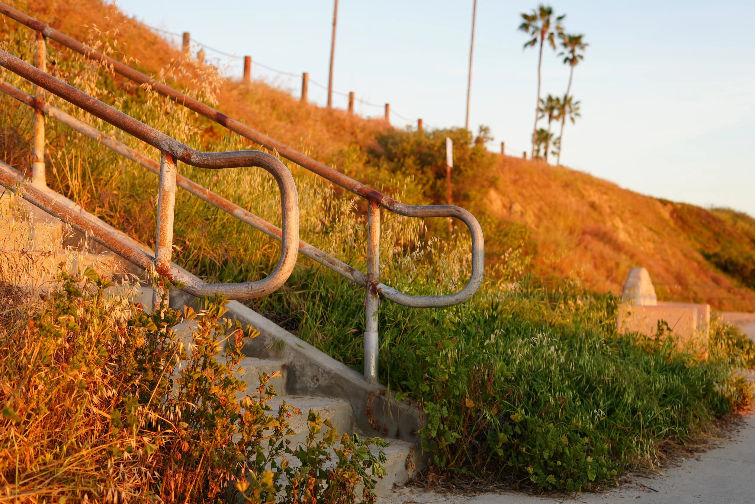 Coaching walk along the water in San Diego