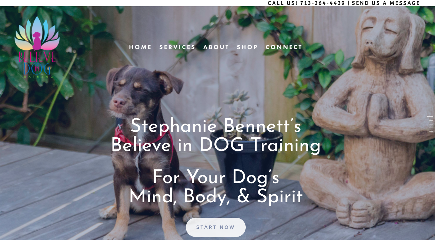 A Brand Strategy Consulting Houston | Small Business Marketing and Web Design | Afton Baily Griffin 2017-10-15 at 9.06.34 PM.png