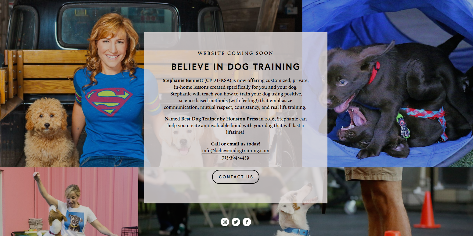 New Client Profile: Believe in Dog Training