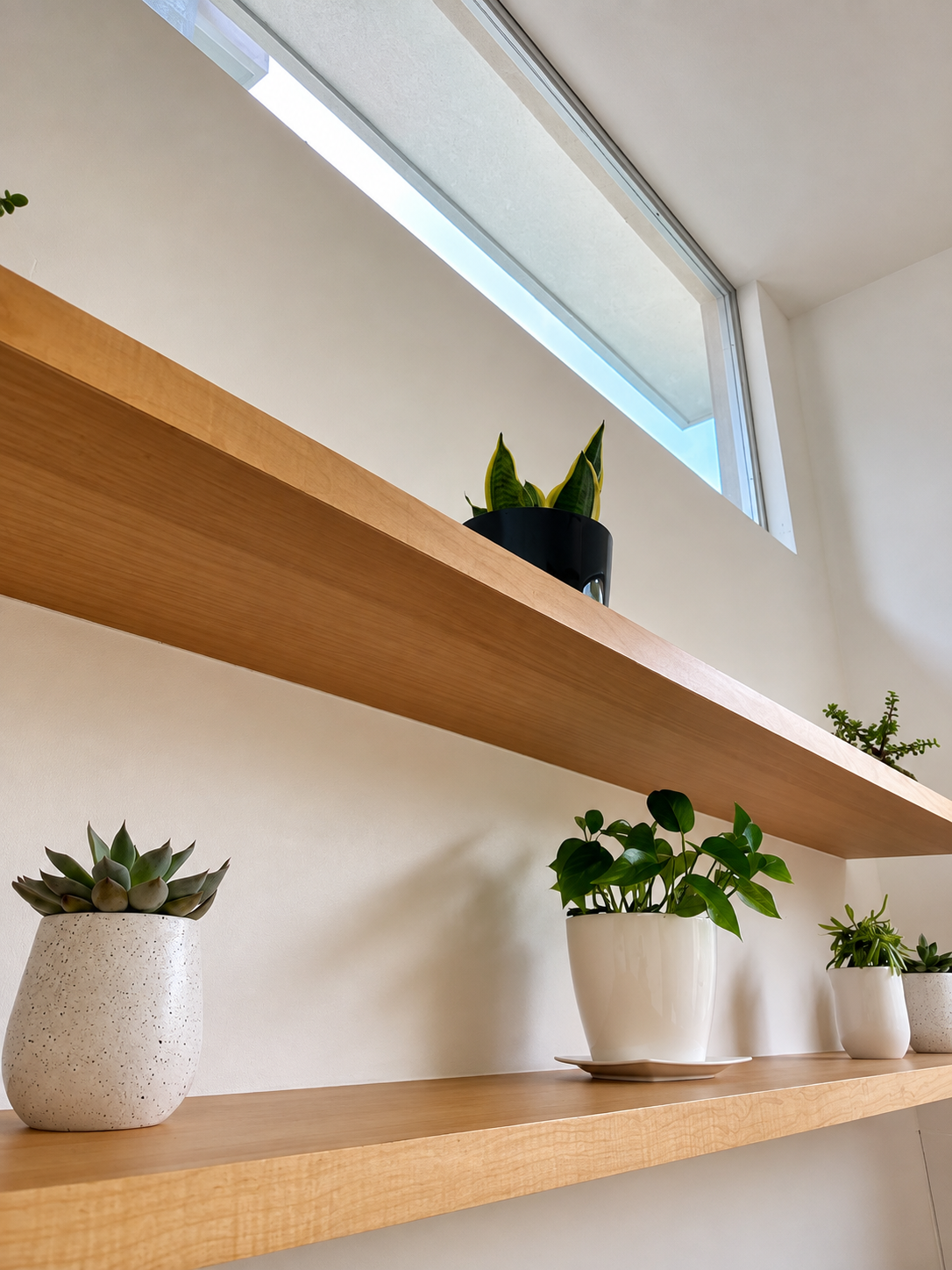 plantas organic apartment (1).png