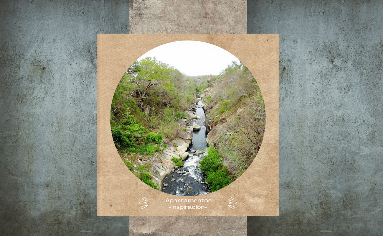 4_vereda natura.png