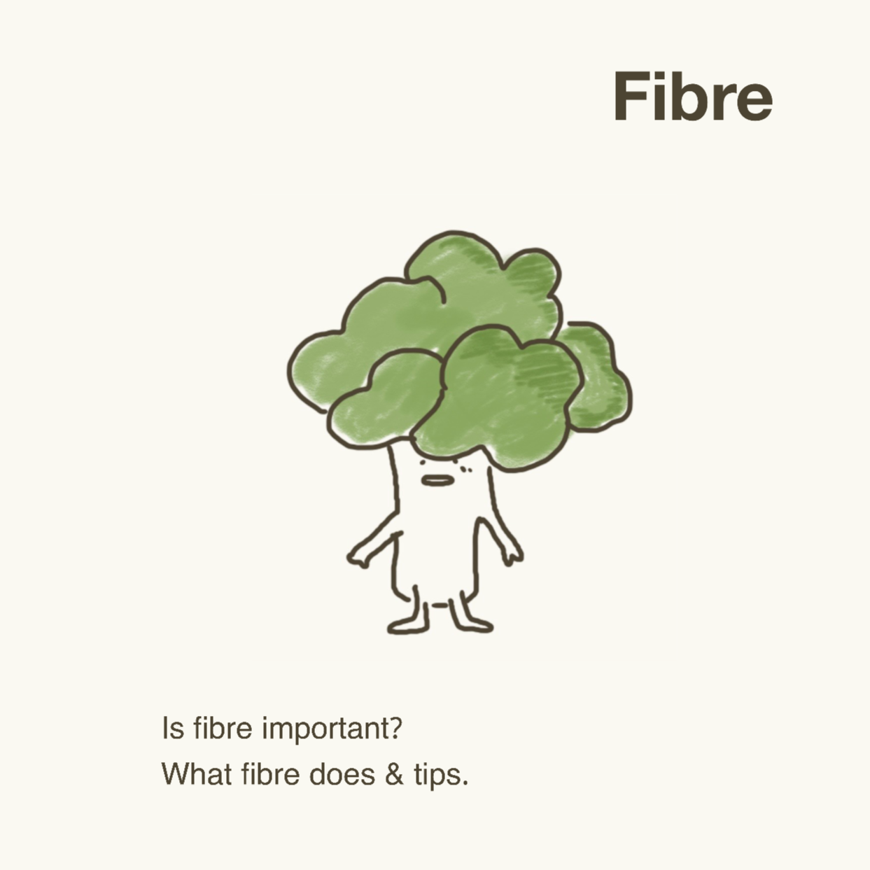 Is Fibre Important ?