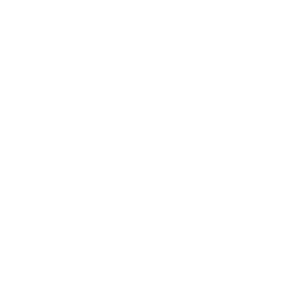 digia-site_logo-tiktok.png
