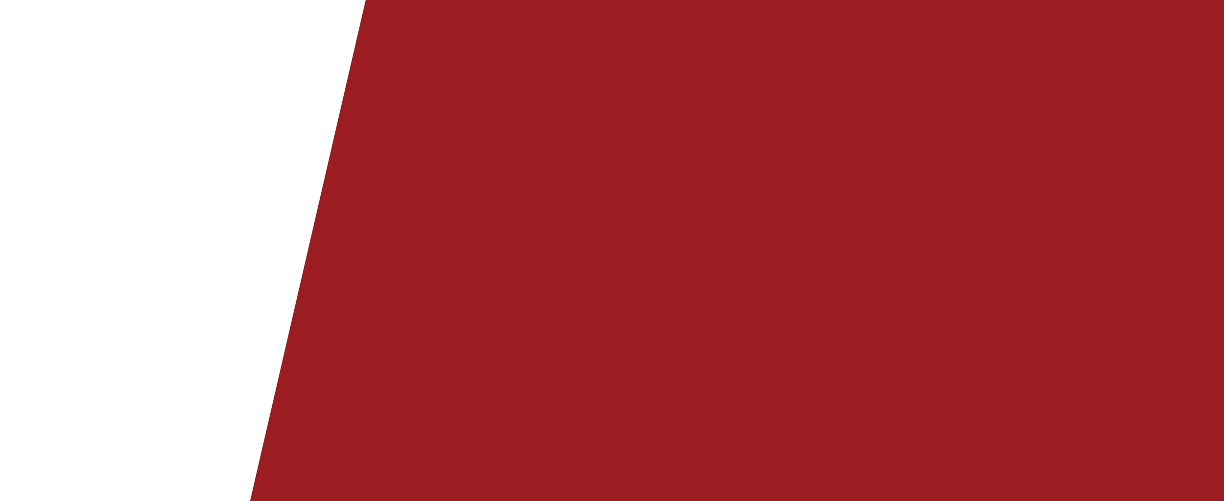 Close-up of a red and white shape for George Bray for McCracken County Judge Executive Kentucky