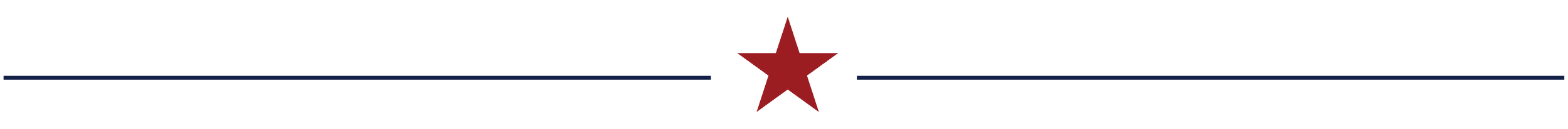 A line divider with stars for George Bray for McCracken County Judge Executive Kentucky