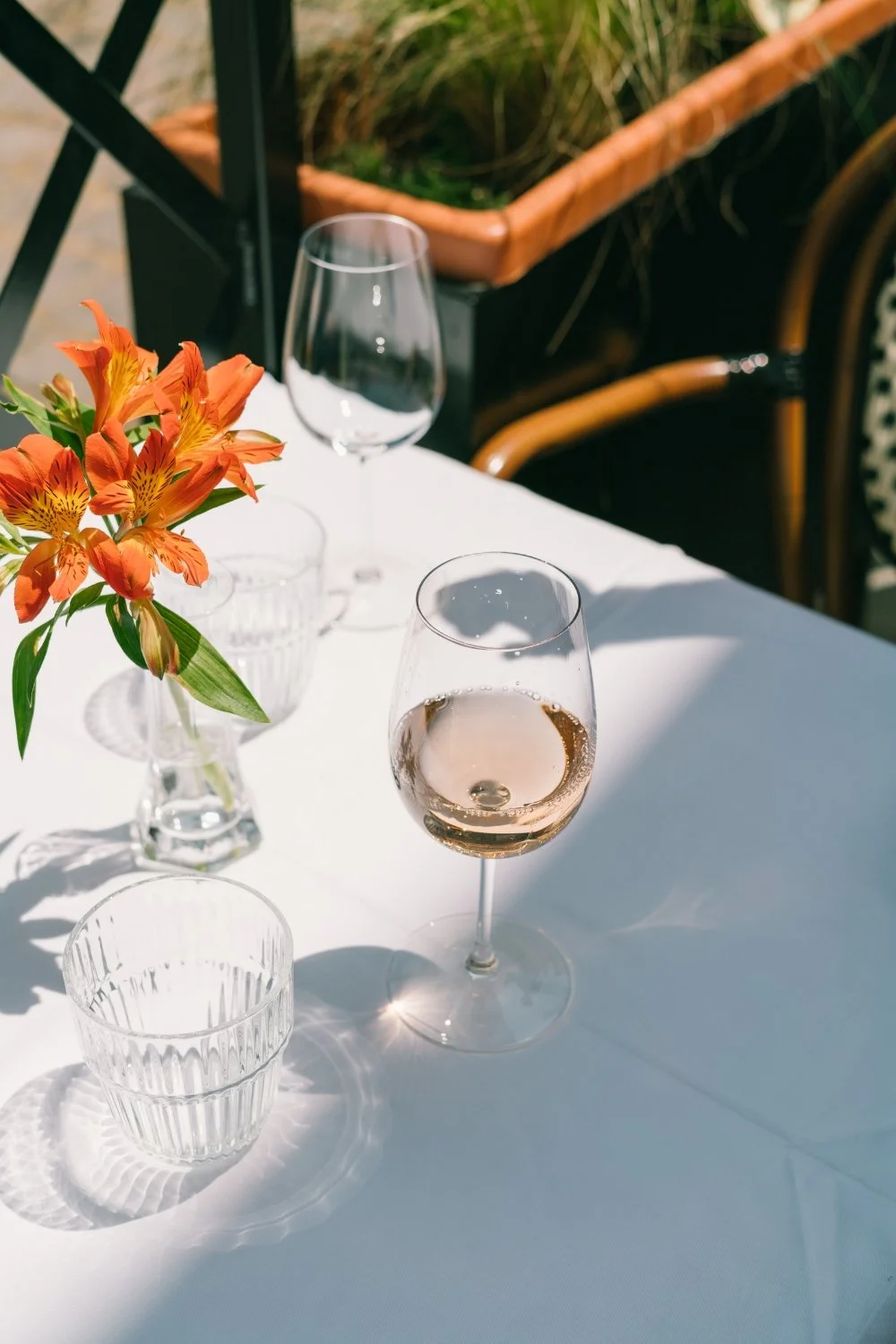 Untitled design (34).jpg