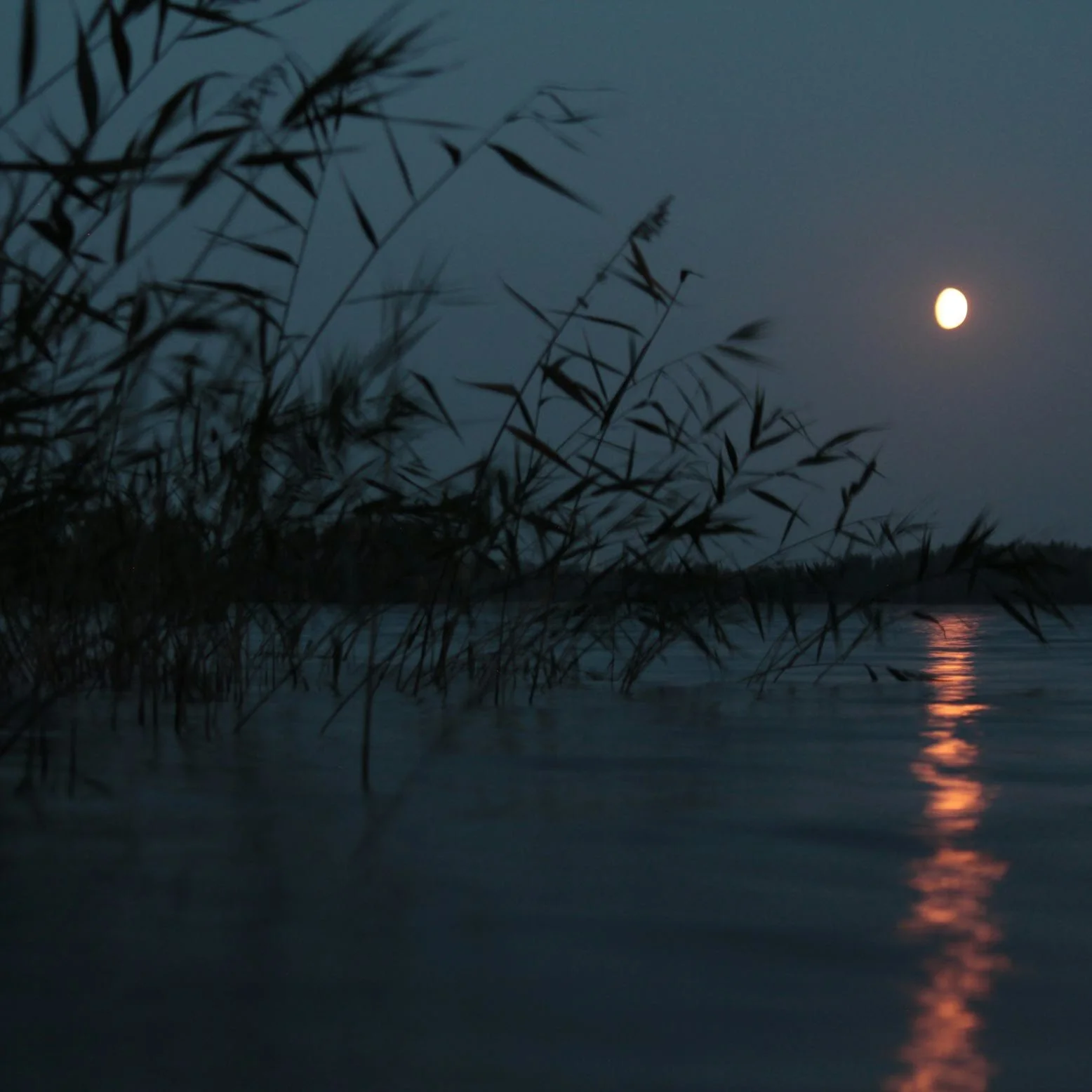 A Memory of a River