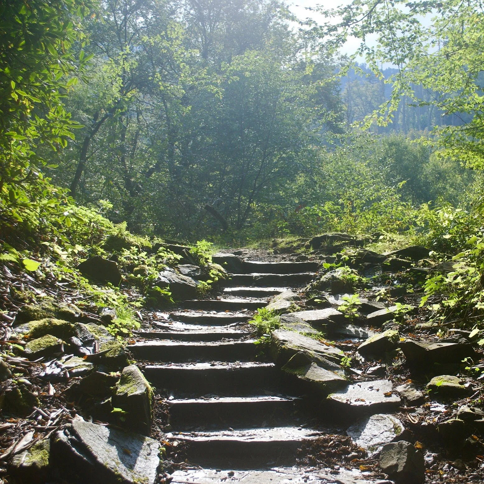 Carrying the Lessons Forward
