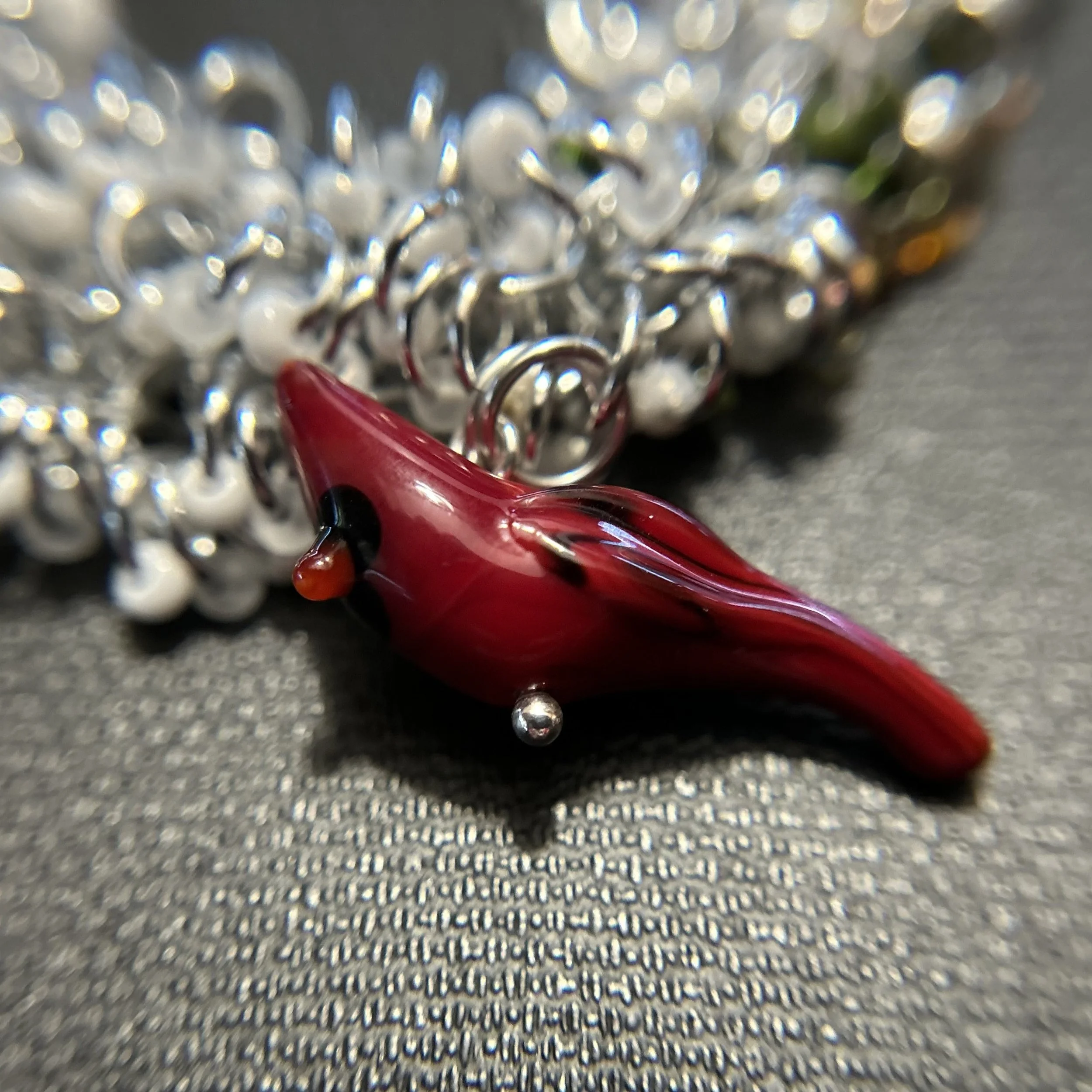 MB005_cardinal.JPG