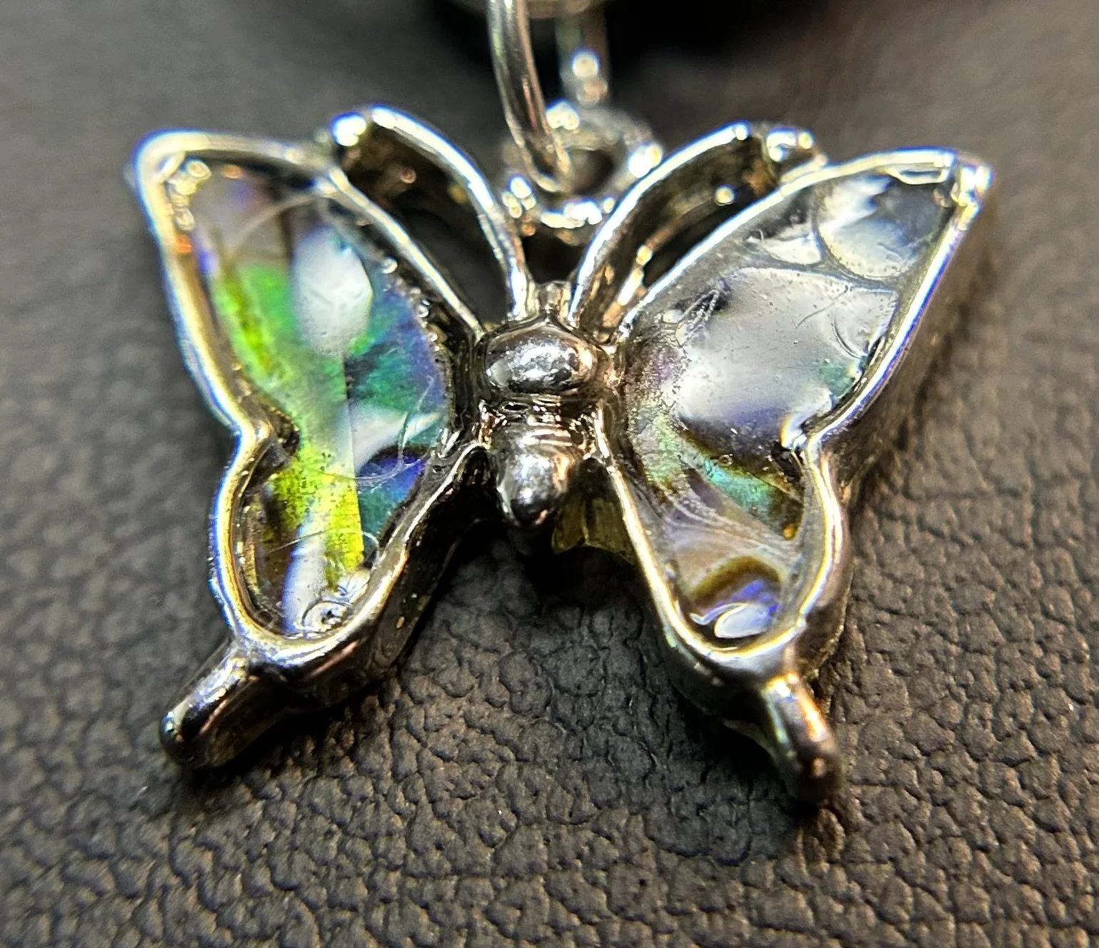 B204_Butterfly Closeup.jpeg