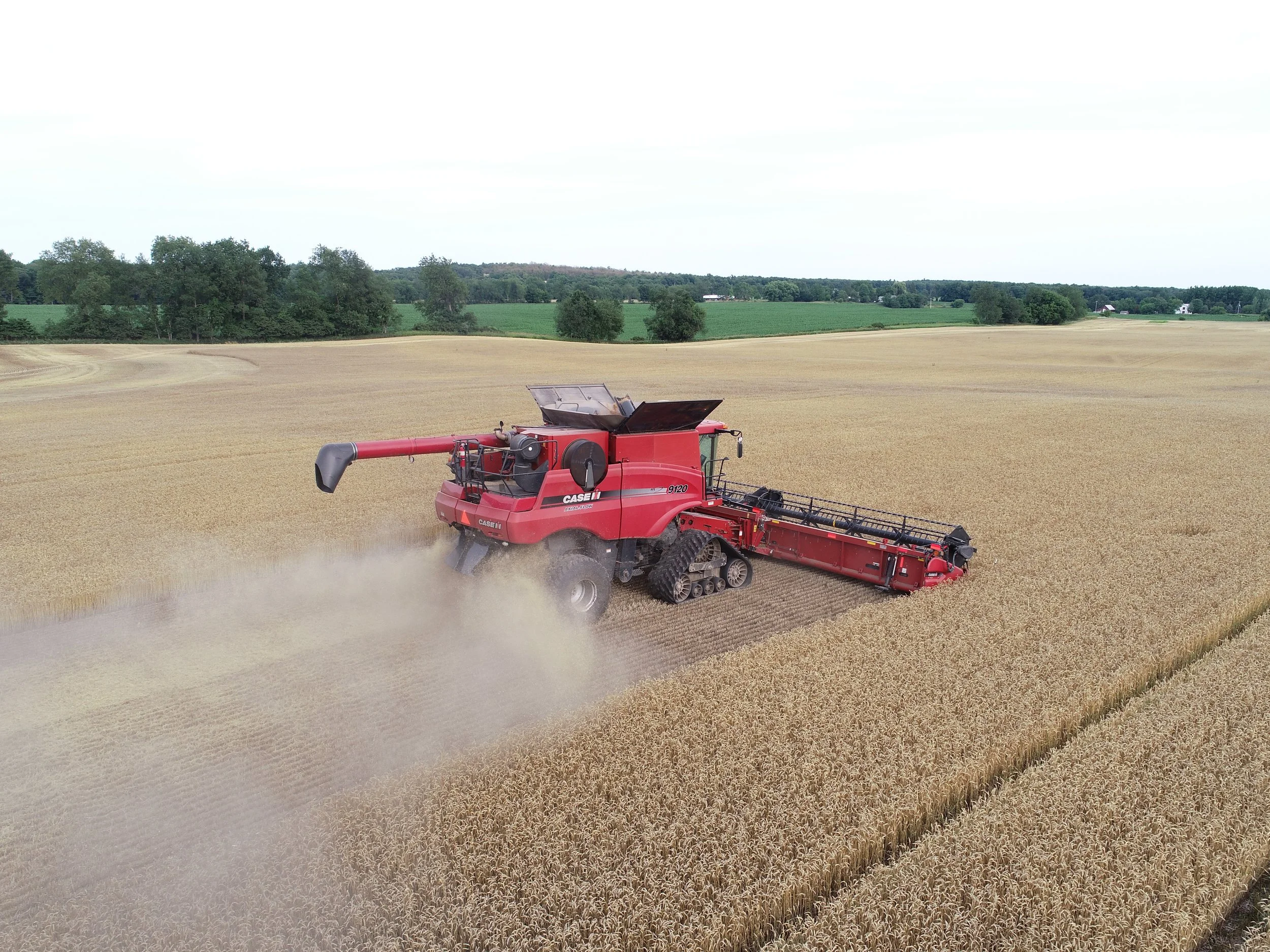 A red combine harvester working in a wheat field during daytime, with green trees and farmland in the background.