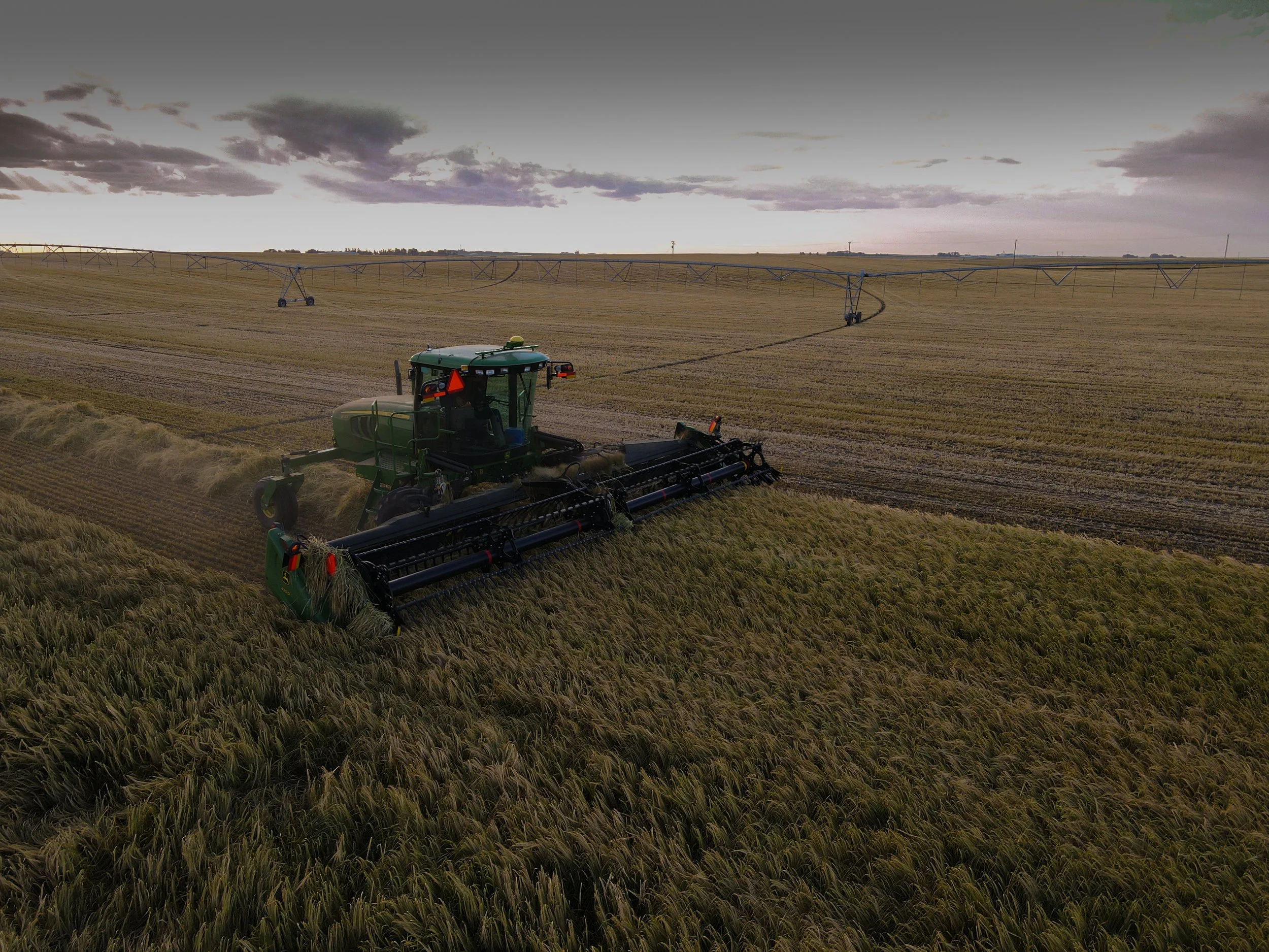 A John Deere swather cutting wheat or barley and laying it in windrows under gray clouds