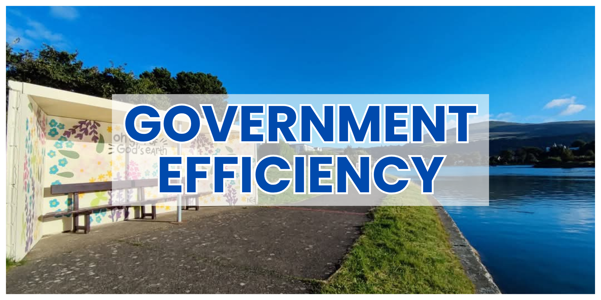 Government efficiency