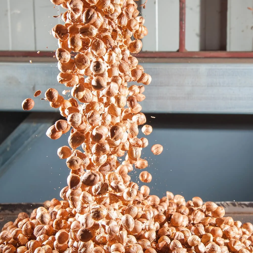 Hazelnuts falling from above onto a pile on a surface.