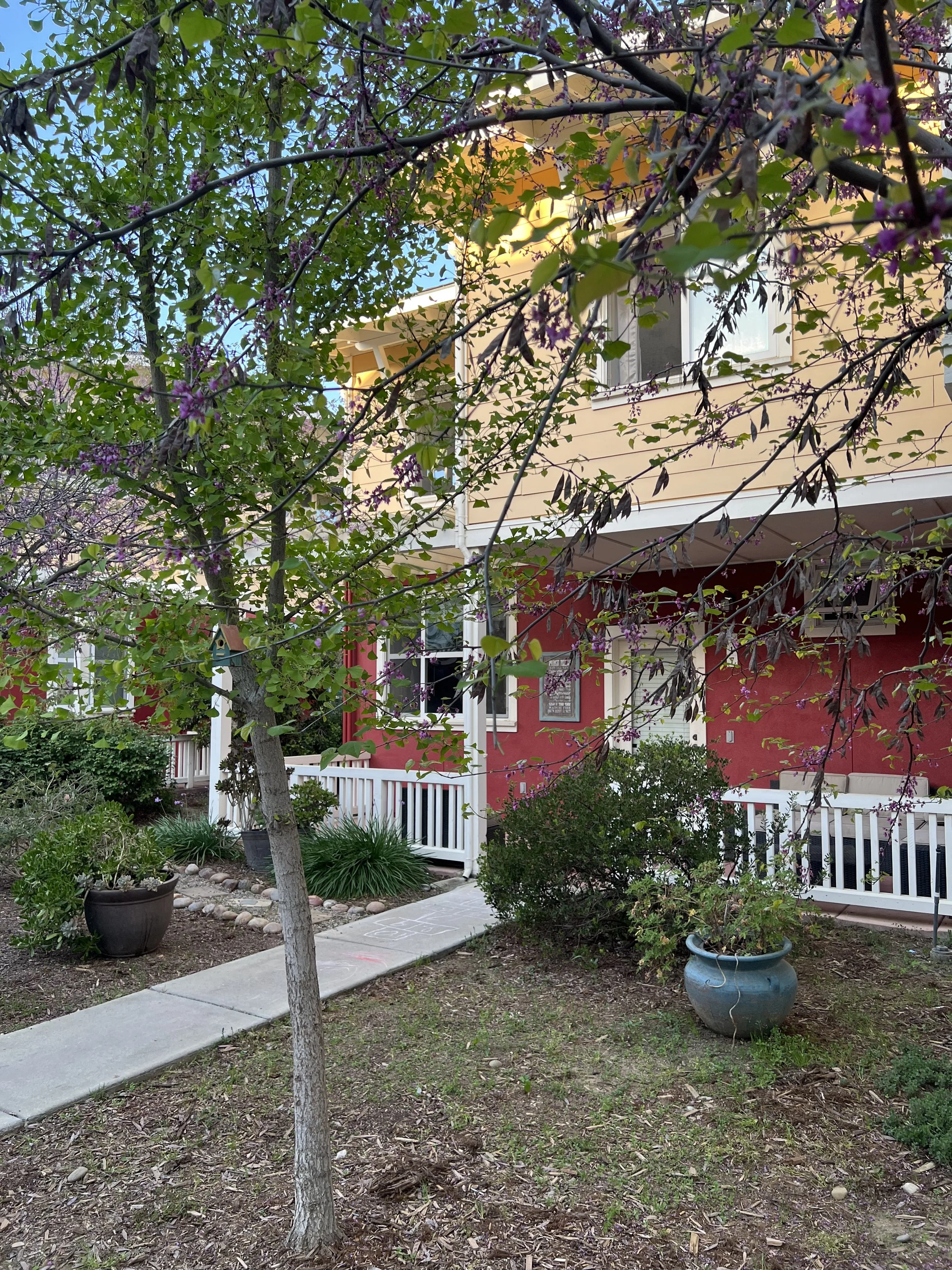 Frenso house outside.jpeg