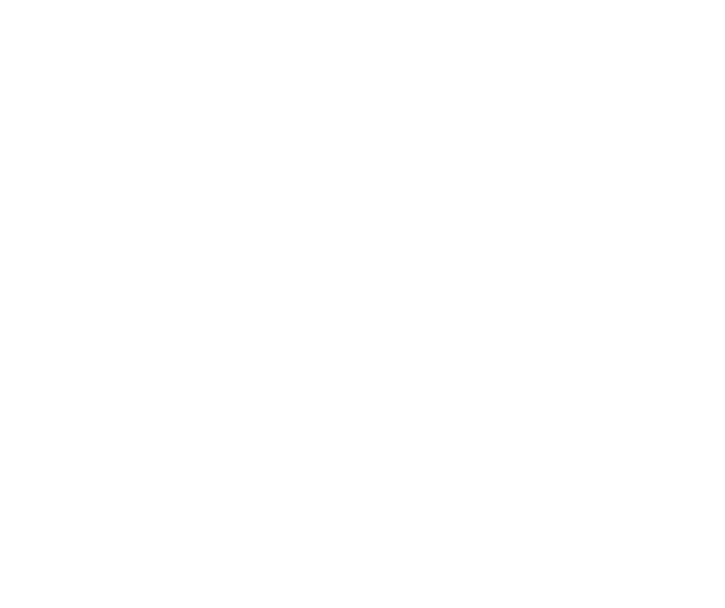 Raptor Rental Services LLC