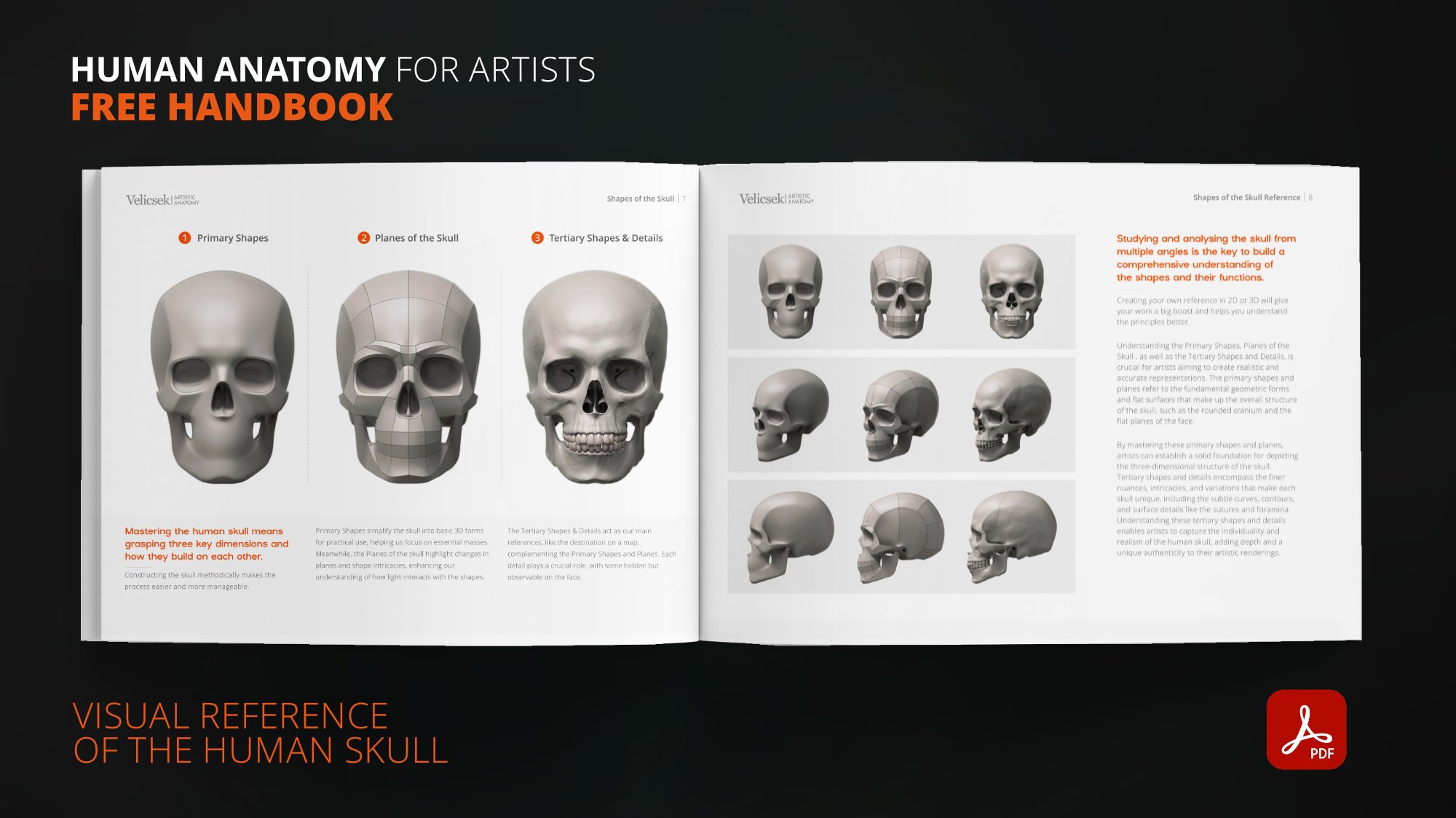 How to draw the human skull — primary shapes, planes and 3D reference